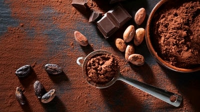 From Ancient to Modern: The Sweet History of Chocolate